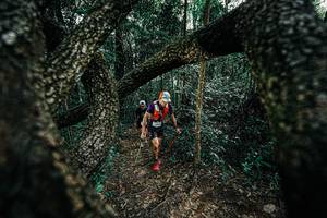 BIB: 
                            <button type="button" onclick="openModal(25392083)" class="btn btn-primary btn-sm float-right btn-popup" data-toggle="modal" data-target=".modal-high-quality">
                        <i class="fas fa-shopping-cart"></i> Add to Cart
                    </button>
                                            <button type="button" onclick="isThisMe(25392083, true)" class="btn btn-success btn-sm float-right btn-popup btn-isme hidden" data-toggle="tooltip" data-placement="bottom" title="นี่คือรูปของคุณใช่ไหม คลิกที่นี่เพื่อเอาเข้าอัลบั้ม">
                        <i class="fas fa-plus"></i> Add to album
                    </button>
                    <button type="button" onclick="isThisMe(25392083, false)" class="btn btn-warning btn-sm float-right btn-popup btn-isnotme hidden">
                        <i class="fas fa-ban"></i> Remove from album
                    </button>